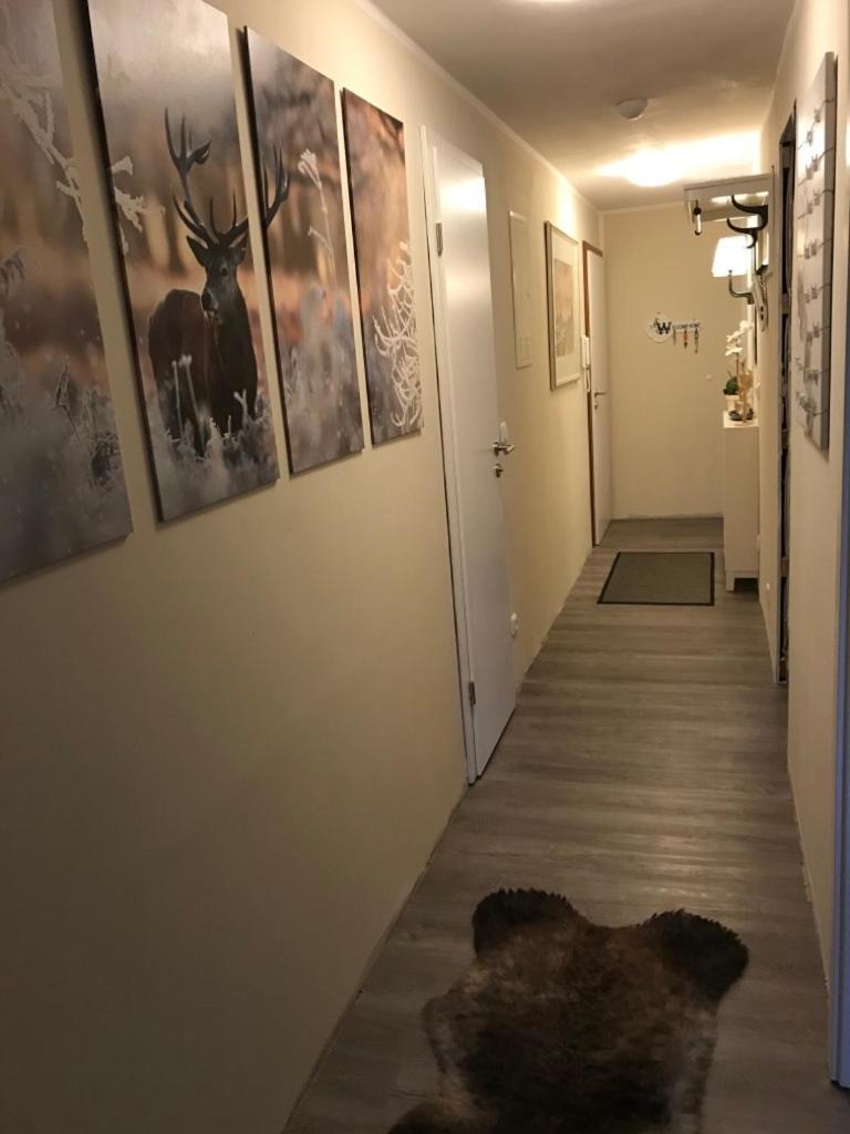 شقة Wurmbergtraum Celina In Braunlage 4 Sterne Zertifiziert Vom Dtv Inklusive Waeschepakete المظهر الخارجي الصورة